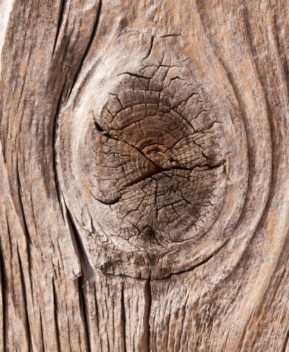 Veinages de bois