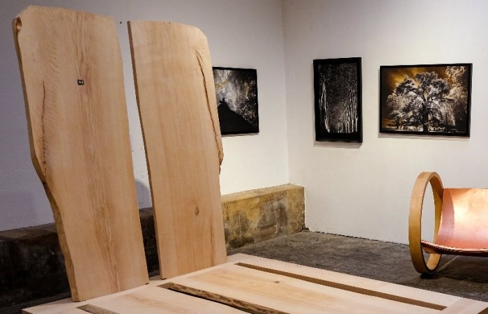 Le Lit Arbre et le Fauteuil à bascule