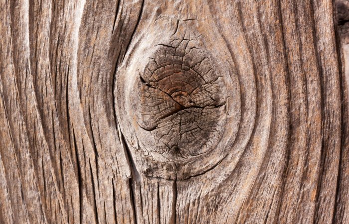 Veinages de bois